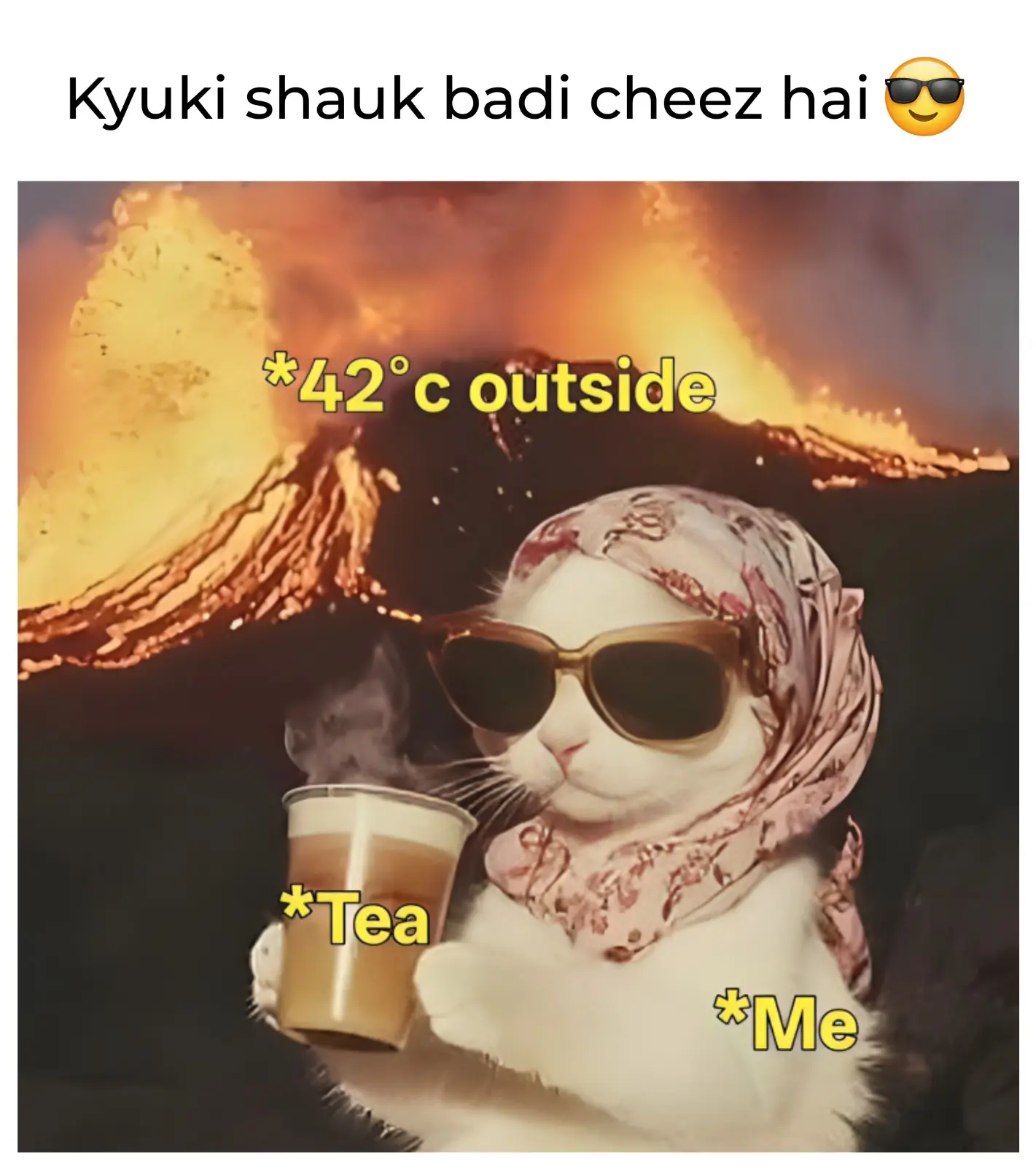 Meme21