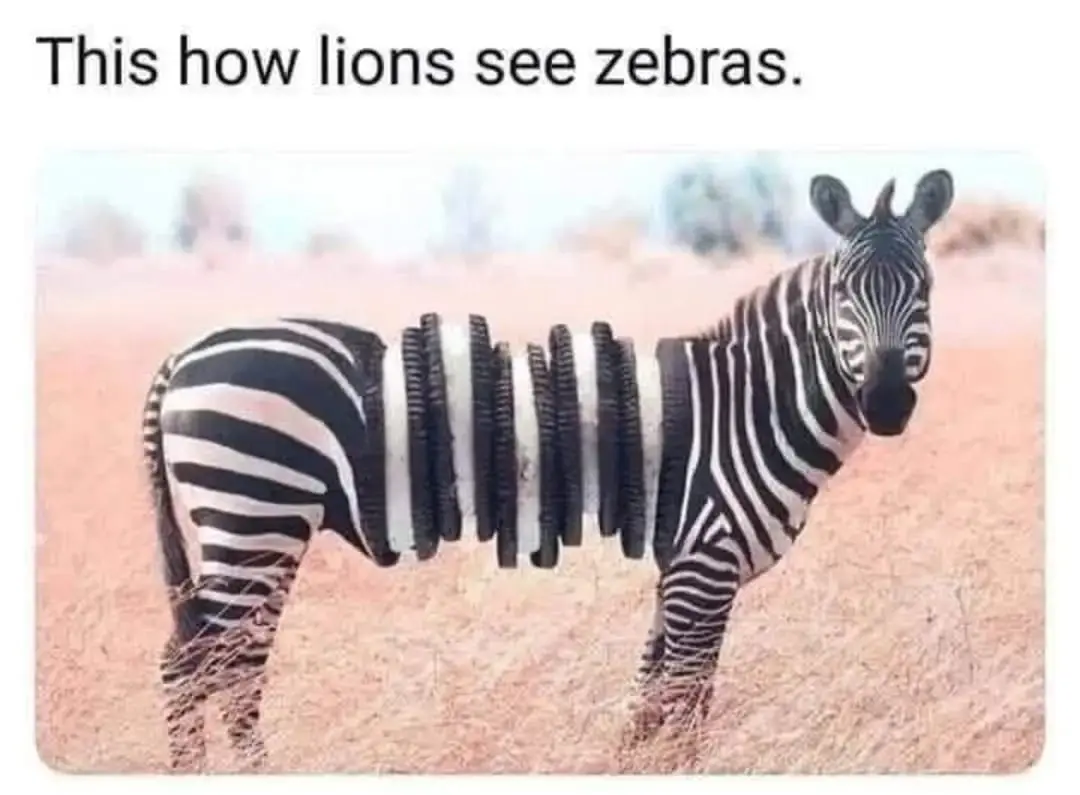 Meme23
