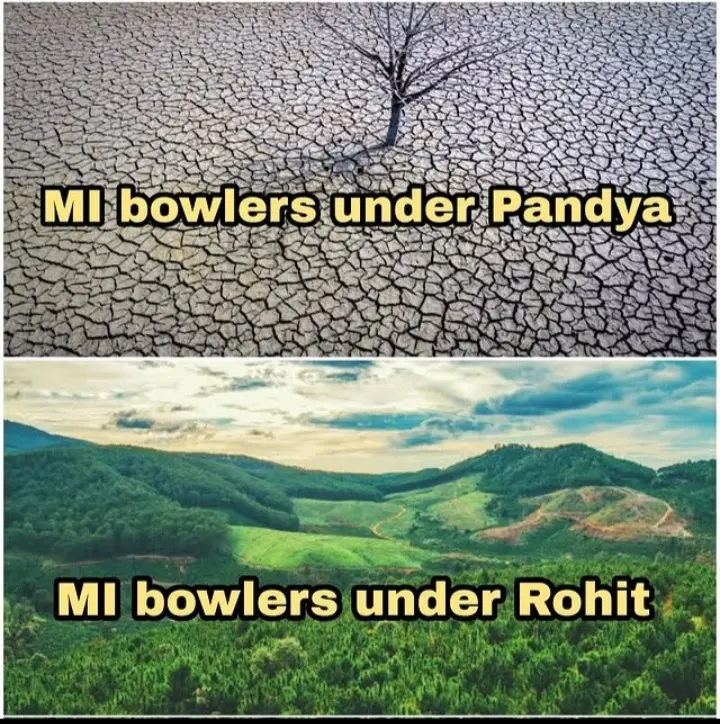 Meme62