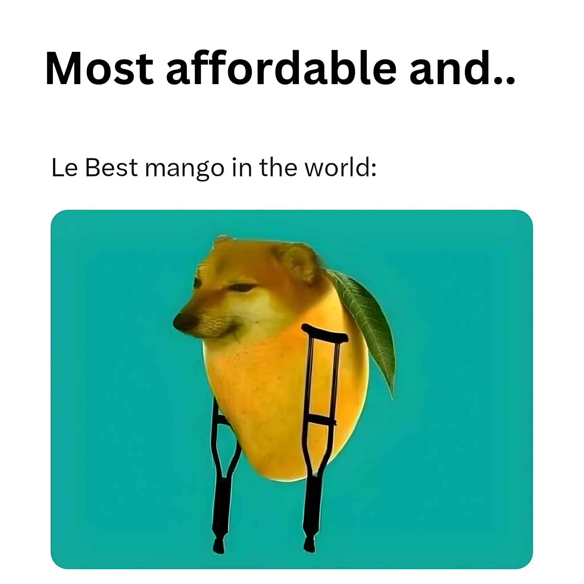 Meme86