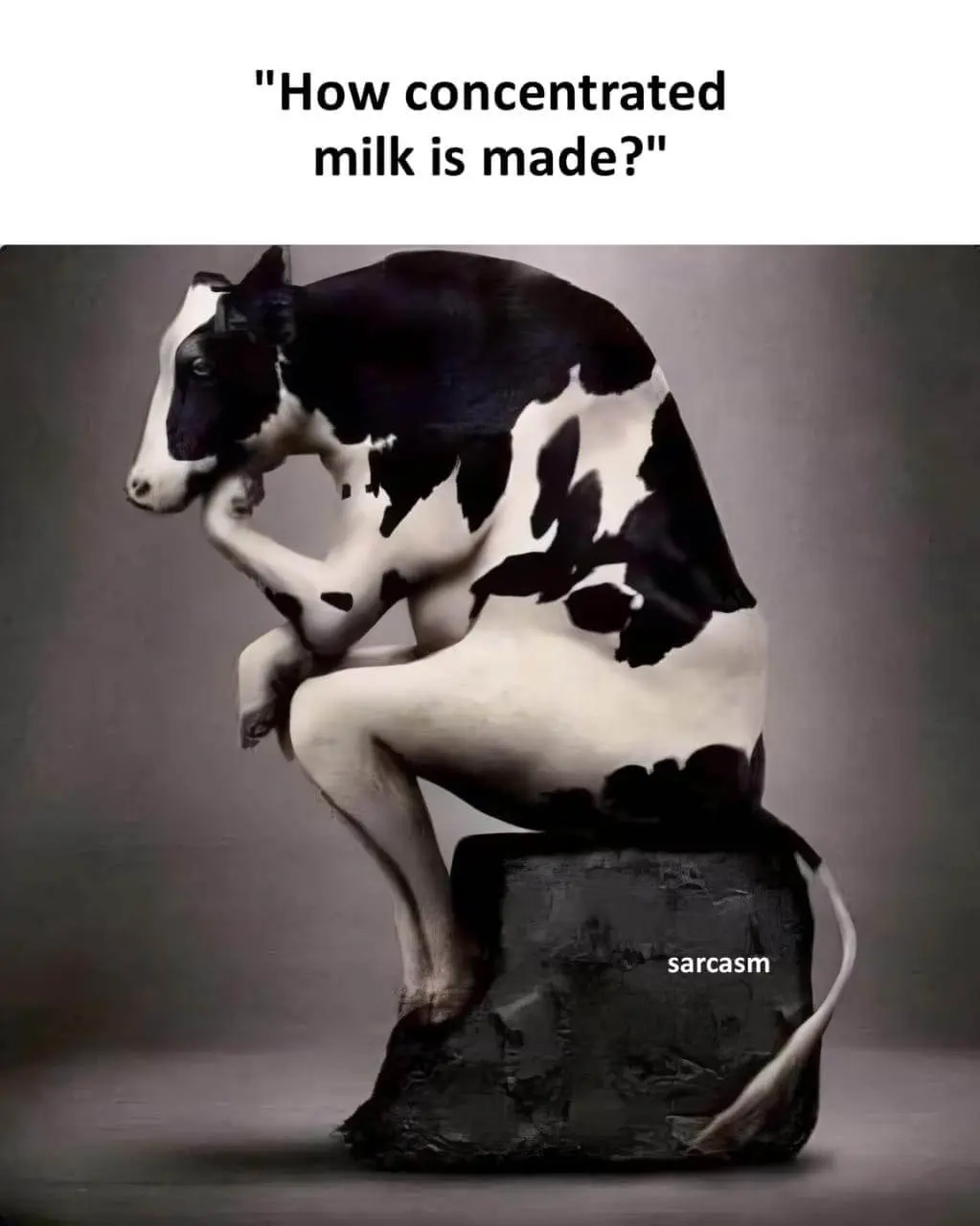 Meme107
