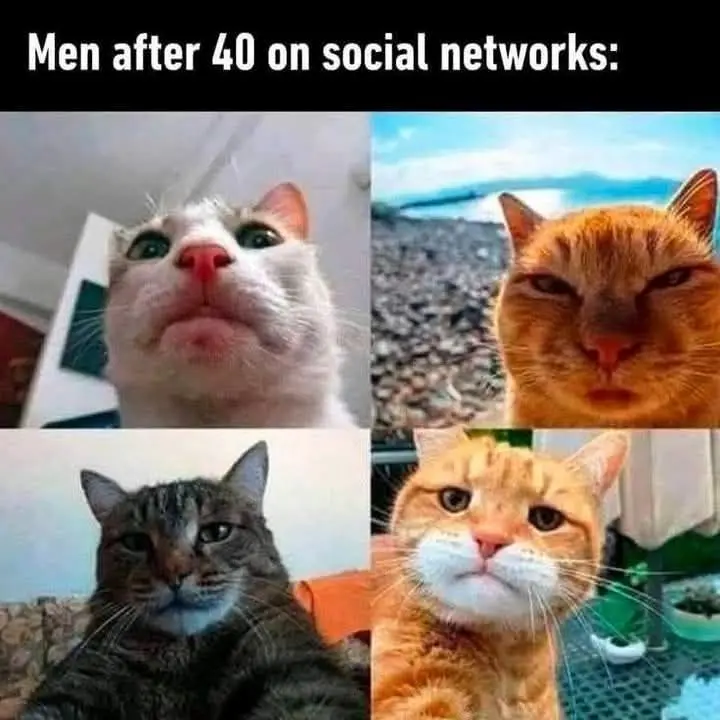 Meme202