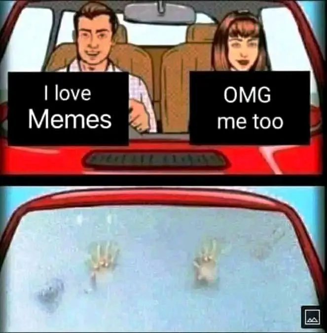Meme213