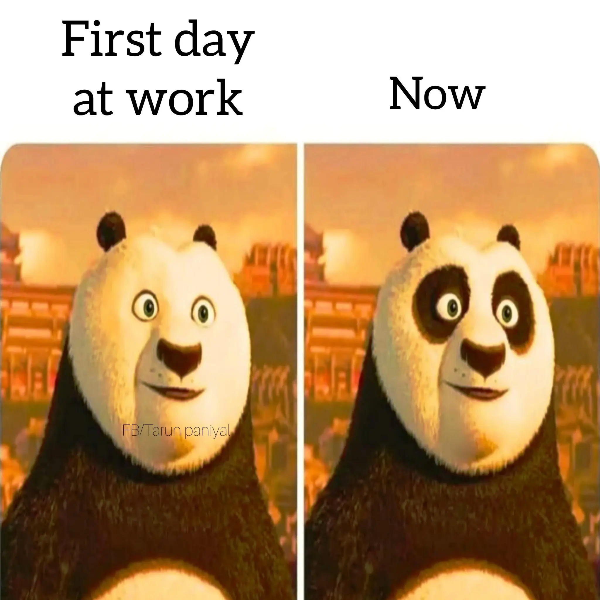 Meme230