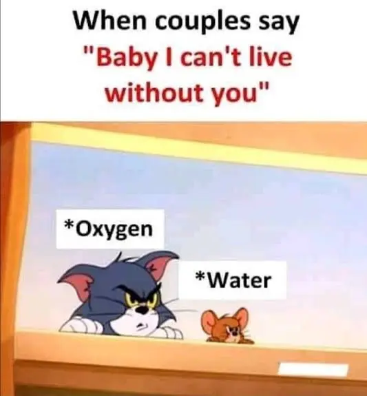 Meme256