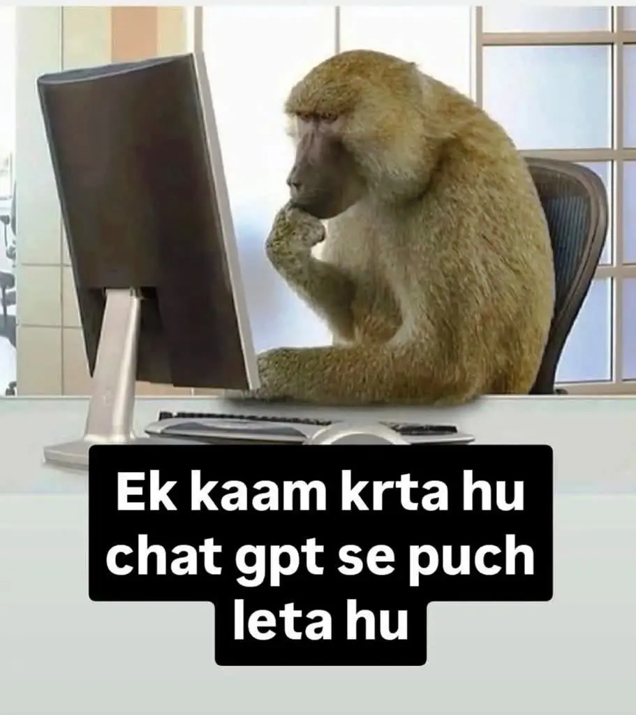 Meme273